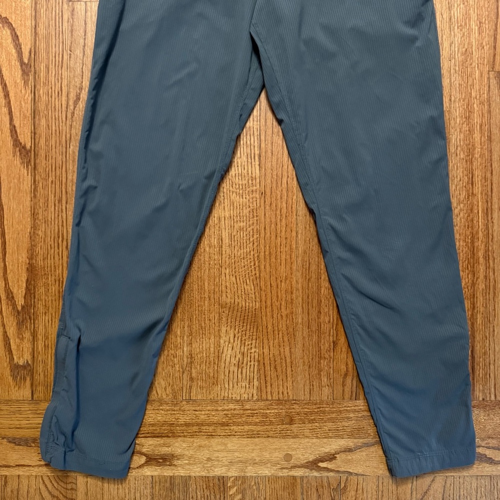 Lululemon Surge Joggers in gray stripes size M - Picture 4 of 16